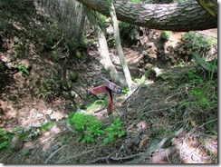 13龍王山への登り