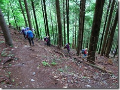 5-04大倉尾根の急坂をジグザクに下ります