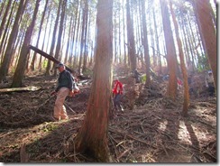 20荒れた登山道です