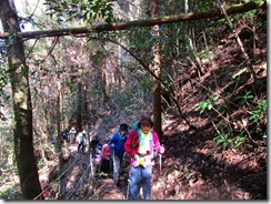 05素晴らしい登山日より