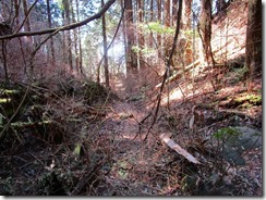 21荒れた登山道です、このルートを選択するのは一考の余地あり