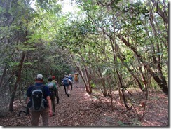 07 九千部山への登山道