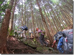 23 権現山への急登