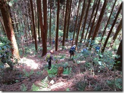 26 柿ノ原峠への下り