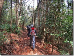 11 九千部山の縦走路