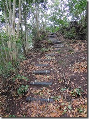 1-08整備された登山道