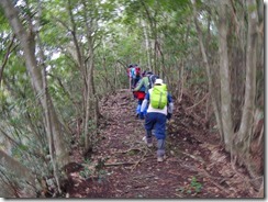 1-05自然林豊かな登山道