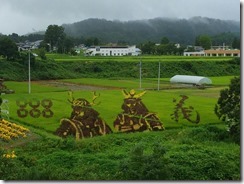 3-13IMG_9574