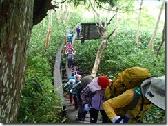 2-05急登が始まりました