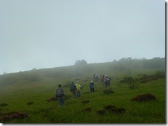 30山頂らしくない岩井川岳山頂手前