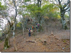 1-10山頂近くになりました