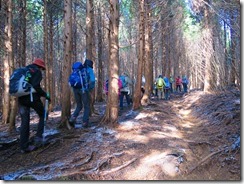 1-07植林帯の登山道