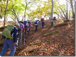 06緩やかな登りが続く