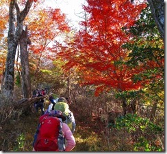 08紅葉の中の登山道