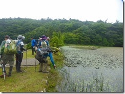 1-15ジュンサイ池です、ジュンサイはありませんでした