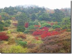 02紅葉が素晴らしい