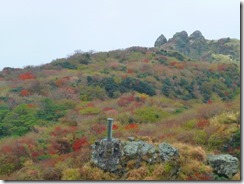 16紅葉がきれいですが天気が悪く明るさが足りない