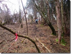 13ふきくさ山過ぎて、東に延びる尾根を進みます