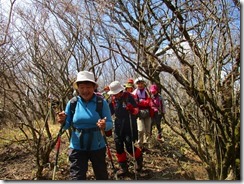 24ながみず山下山します