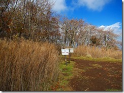 10IMG_8328