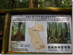 3-00DSCF9014