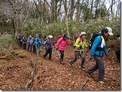 2-23落ち葉のクッションで快適な登山道