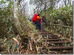 2-28今度は急傾斜の丸太階段、幅が狭く足が入らないのでヨコバイで降りる