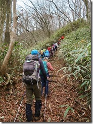 2-32雑木林とスズタケの登山道、最後の上りです