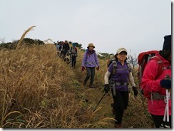 2-08ススキの登山道