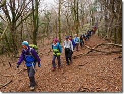 2-22明るいブナ、ミズナラの登山道