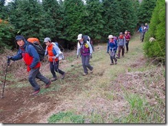 2-33広い登山道に下りてきました