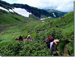 37再び山道を登る