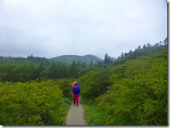 3-08歩きやすい登山道