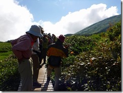 1-06植物観察会参加