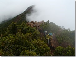 11東赤石山、山頂そば