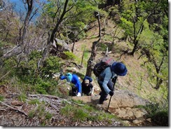 1-15傾山本峰への急登