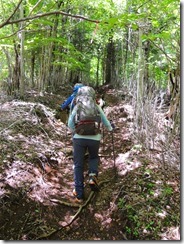 1-04九折への登山道