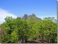 1-10登山道から傾山