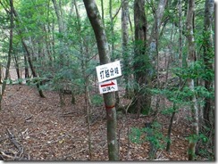 08打越分岐