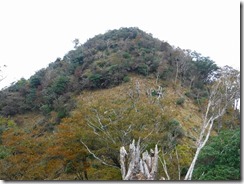 14石堂山山頂がやっと見えました