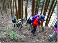 03植林帯を登ります