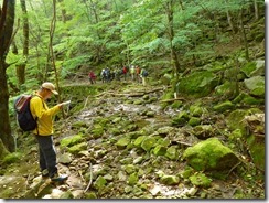 2-41センソク谷登山口、廃林道終点です