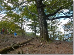 2-28江代山に向かいますがアップダウンがきついです