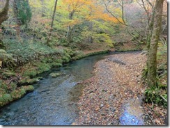 １－２透き通った川の流れ