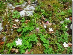 00IMG_2520