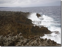 3-10DSCF4505