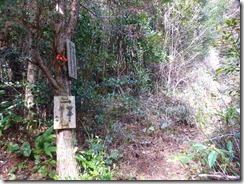 05P1160500