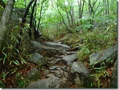 05登山道は急登で岩盤模様