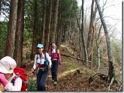 1-09雁俣山から京丈山への縦走路