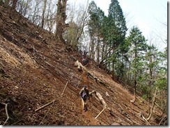 1-04登山道崩落？